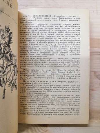 Дари лісів - Єлін Ю.Я., Зерова М.Я., Лушпа В.І., Шабарова С.І. 1983