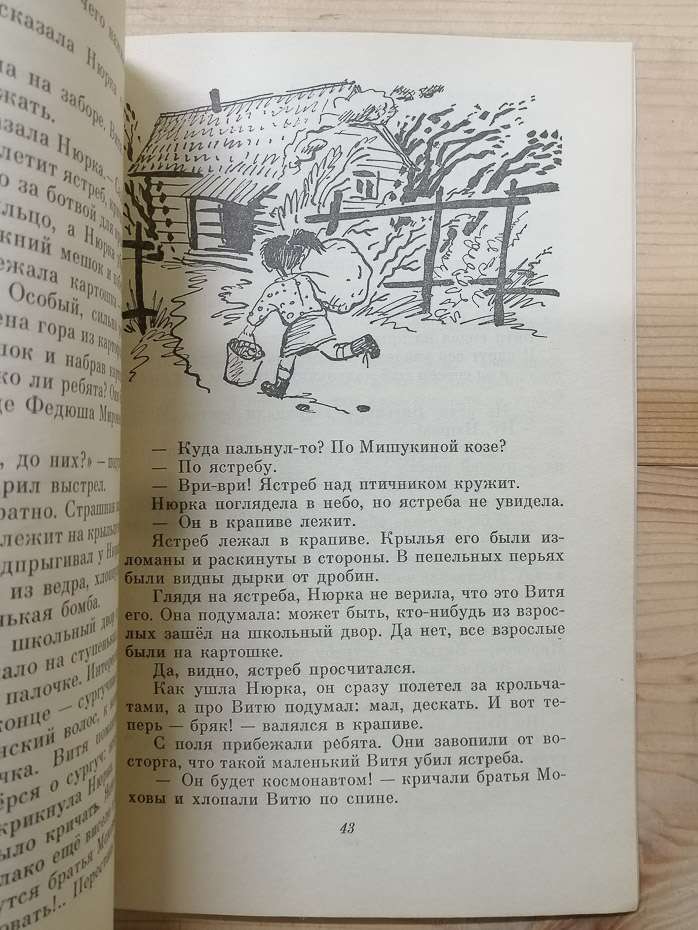 Чистий Двір - Коваль Ю.Й. 1991