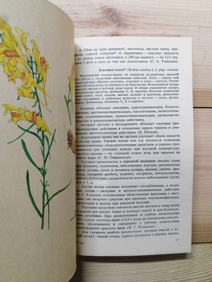 Лікарські рослини Донбасу - Губергриц О.Я., Соломченко М.І. 1990