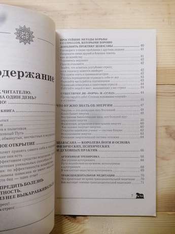 Буду здоровим і успішним. Таємниця Шавасани - Левшинов А.О. 2005