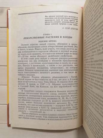 «Браслет» женьшеню - Романовський Л.В. 1992