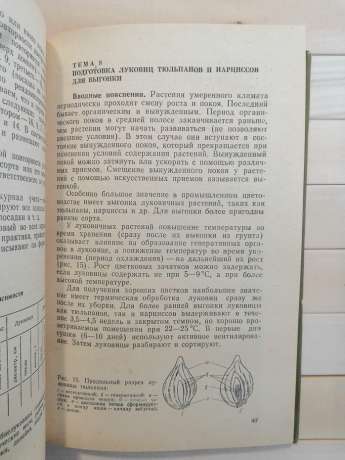 Практикум з квітництва - Чувікова А.А., Потапов С.П. 1984 - Практикум по цветоводству