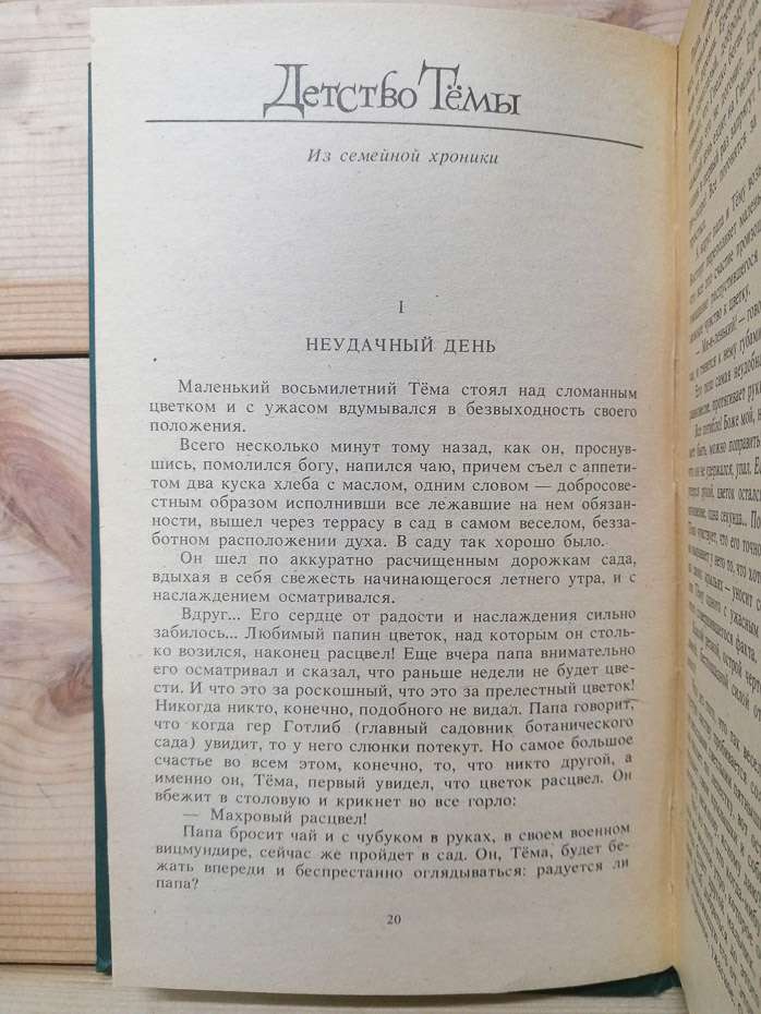 Дитинство Теми. Гімназисти - Гарін-Михайлівський М.Г. 1985