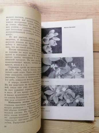 Світ лісових рослин - Петров В.В. 1978