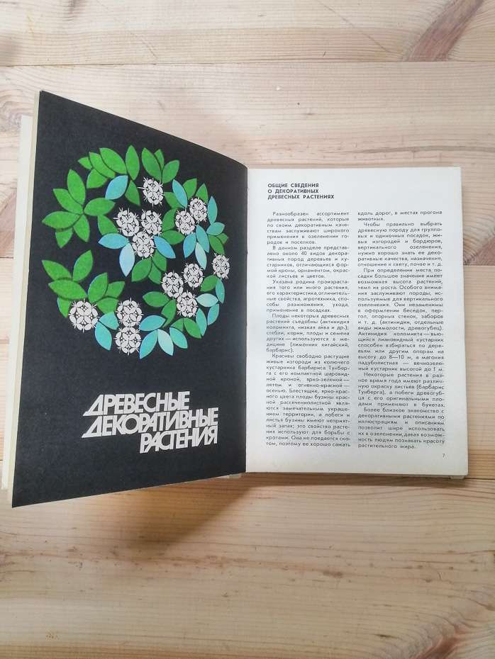 Розмноження і вирощування декоративних деревних порід. Альбом - Климович 1980