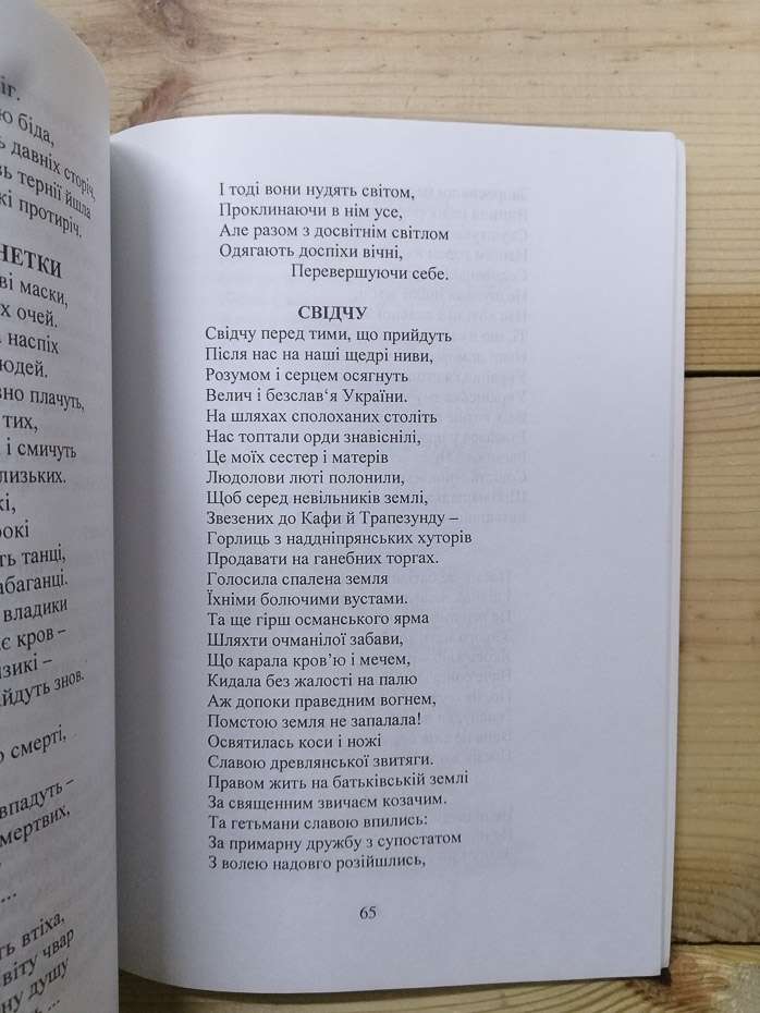 Спокута гріхів - Андрієнко М.П. 2006