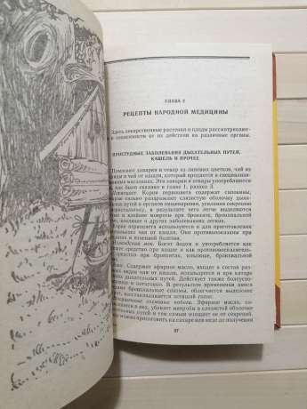 «Браслет» женьшеню - Романовський Л.В. 1992