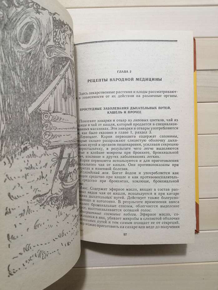 «Браслет» женьшеню - Романовський Л.В. 1992